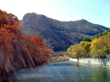 新澳天天开奖资料大全旅游团，天峨seo培训